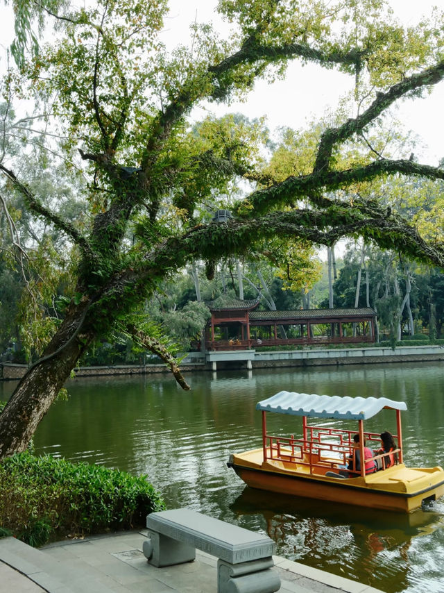 Xihu Park 🌺 