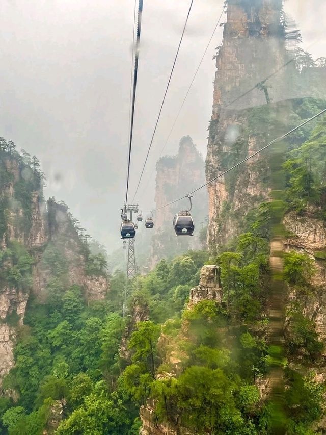 Zhangjiajie Forest Park, Avatar Vibes and Sky High Views