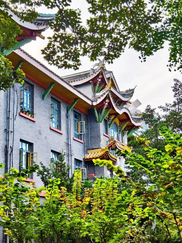 🏛️เดินเล่นวันหยุดในรั้วมหาวิทยาลัยแพทย์จีนชื่อดัง