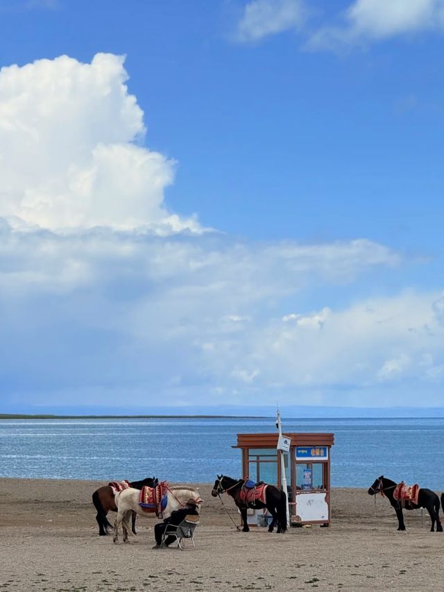 Ride the Rim: Cycling Around Qinghai Lake