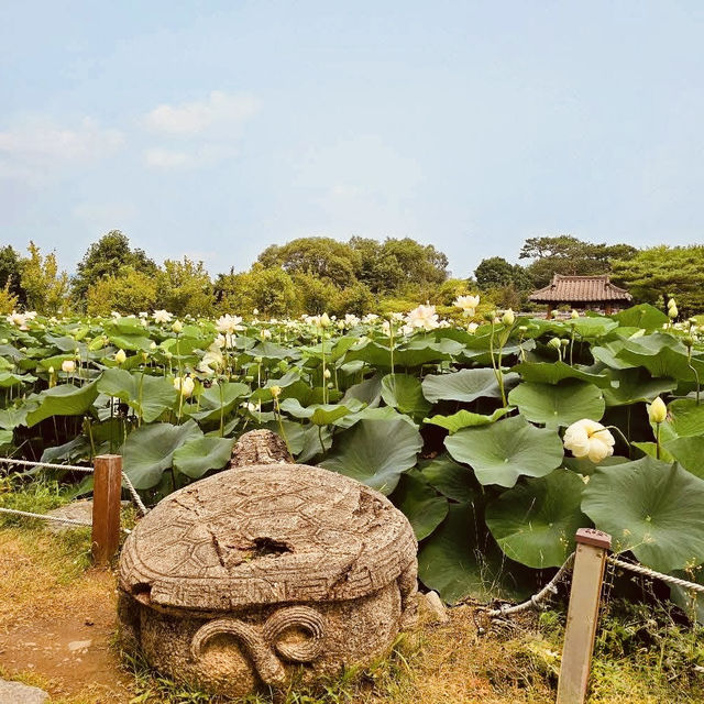 **"Semiwon Garden: A Secret Han River Oasis – A Solo Traveler’s Floral Paradise"** 🌸🌊   
