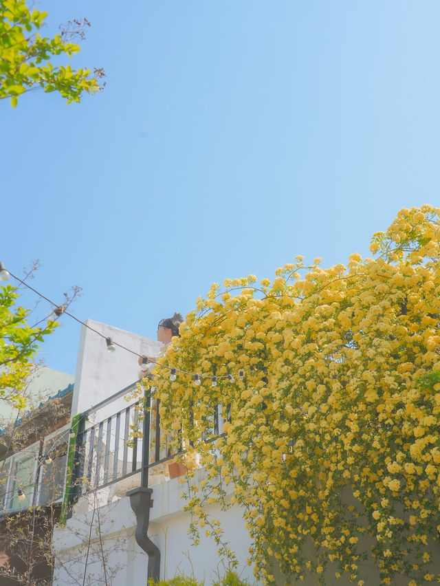 피드로도 기록해보는 창원의 노란빛 순간들💛
