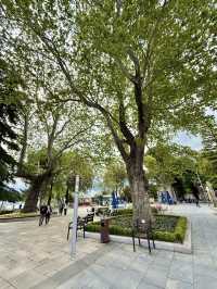 Panoramic Bursa from the Heart of Tophane