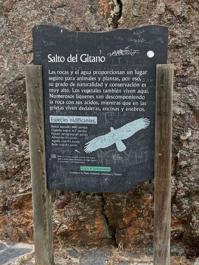Birdwatching Bliss & Cliffside Views at Salto del Gitano