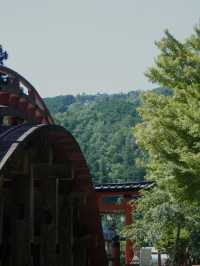 🇯🇵 和歌山の聖地、丹生都比売神社へ⛩️✨