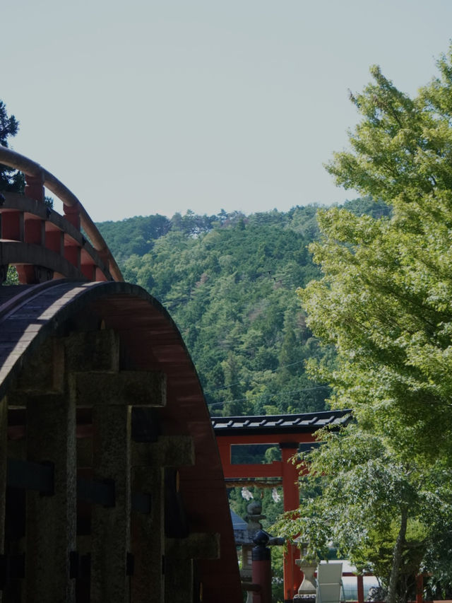 🇯🇵 和歌山の聖地、丹生都比売神社へ⛩️✨