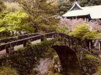 🏯✨ *Sekisuiji Temple: A Hidden Zen Oasis in Shikoku* 🍃🌸