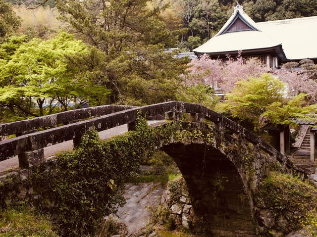 🏯✨ *Sekisuiji Temple: A Hidden Zen Oasis in Shikoku* 🍃🌸