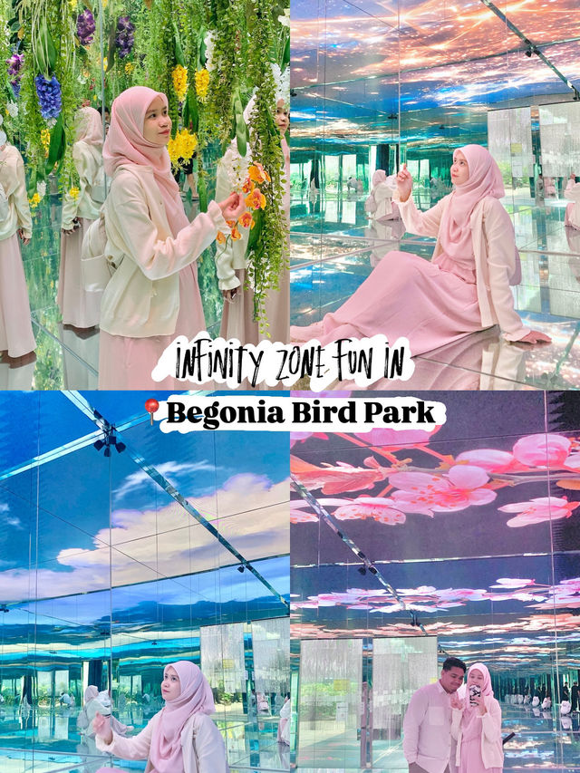 Infinity Zone Fun in Begonia Bird Park