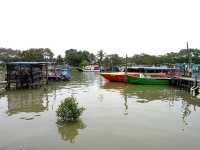 Mersing 4hrs short trip 