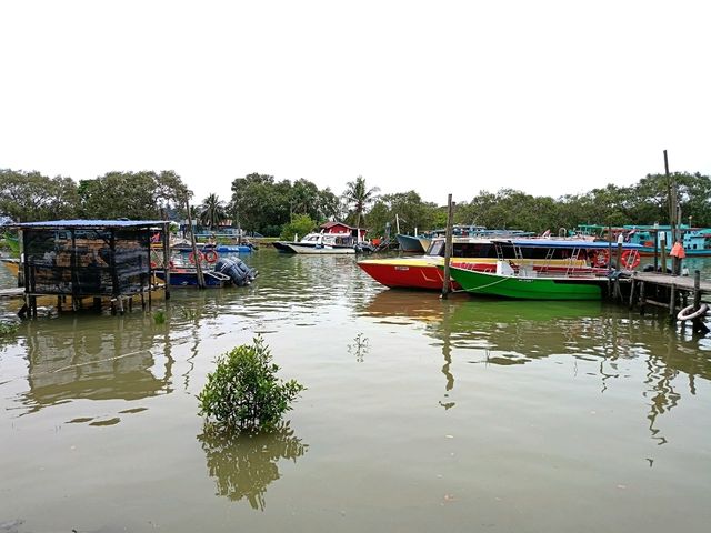 Mersing 4hrs short trip 