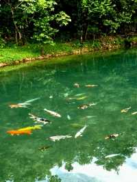 หน้าฝนกับหมู่บ้านอิต่องปิล็อค กาญจนบุรี