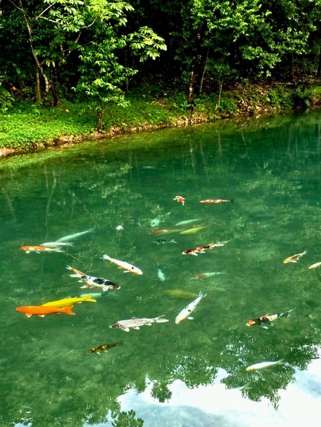 หน้าฝนกับหมู่บ้านอิต่องปิล็อค กาญจนบุรี