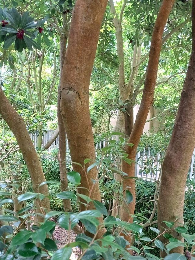 🌿 진주수목원, 실내외에서 자연을 온몸으로!
