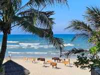 🏨 Koi Resort & Residence – Mixed Experience