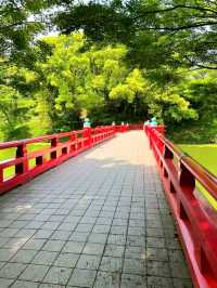Peaceful Moments at Tennoji Park, Osaka