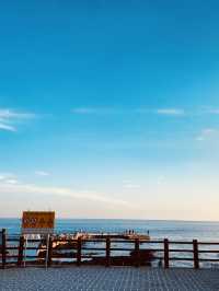 Discovering Hidden Tide Pools and Marine Life
