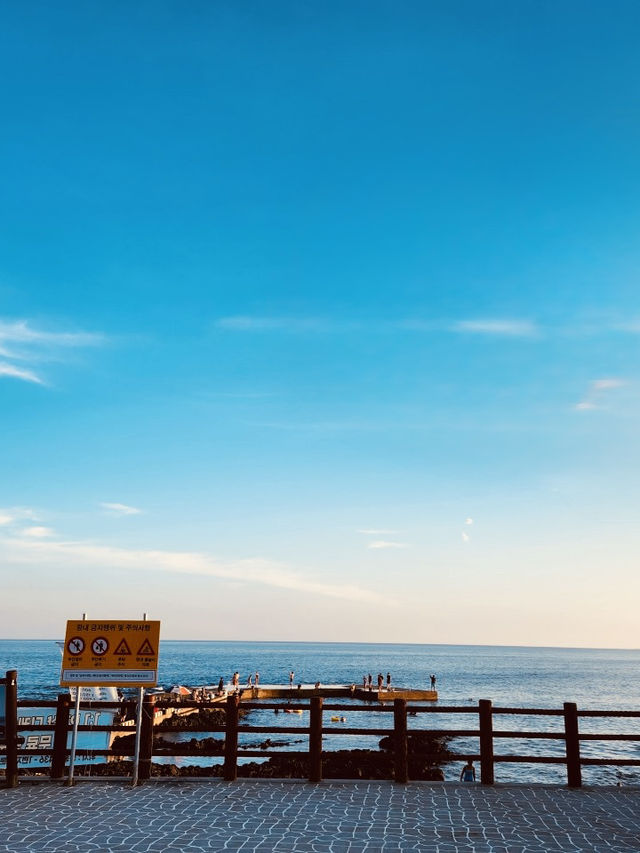 Discovering Hidden Tide Pools and Marine Life