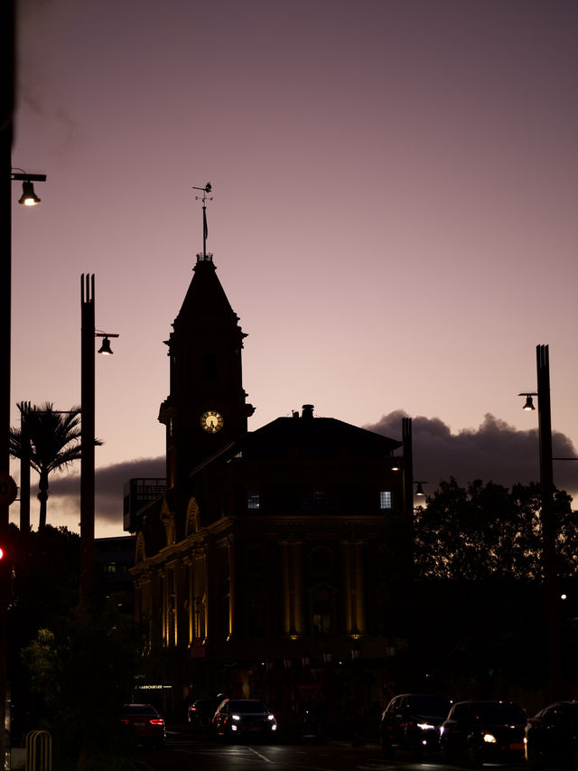 Auckland 1 Days Travel Guide 