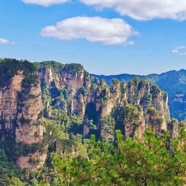  🏞️ 장가계 할렐루야산 – 아바타 공원