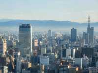 나고야 JR 게이트 타워 호텔(Nagoya JR Gate Tower Hotel) Deluxe Room