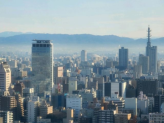 나고야 JR 게이트 타워 호텔(Nagoya JR Gate Tower Hotel) Deluxe Room 나고야 JR 게이트 타워 호텔(Nagoya JR Gate Tower Hotel) Deluxe Room