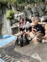 Enjoy 2 Days in SAFARI CASARUA BOGOR