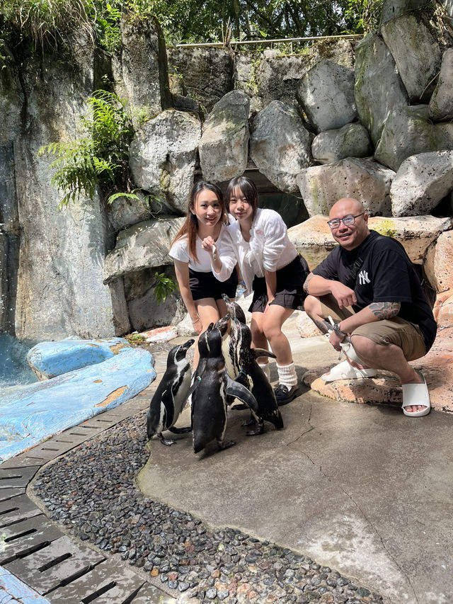 Enjoy 2 Days in SAFARI CASARUA BOGOR Enjoy 2 Days in SAFARI CASARUA BOGOR