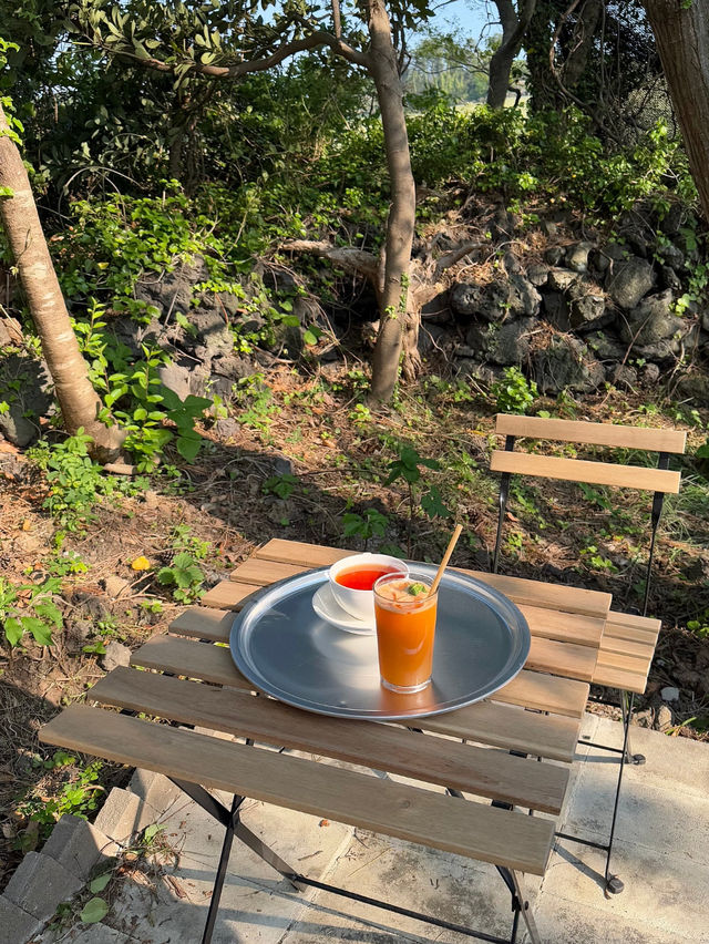 🌿 제주도 여행 – 자연 속 힐링 여행