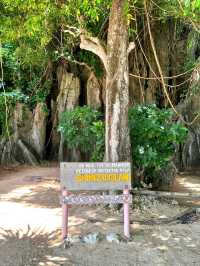Hidden Beauty of Shimizu Island, Palawan