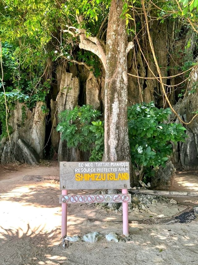 Hidden Beauty of Shimizu Island, Palawan
