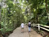 “ป่าต้นน้ำบ้านน้ำราด – พักผ่อนท่ามกลางธรรมชาติ