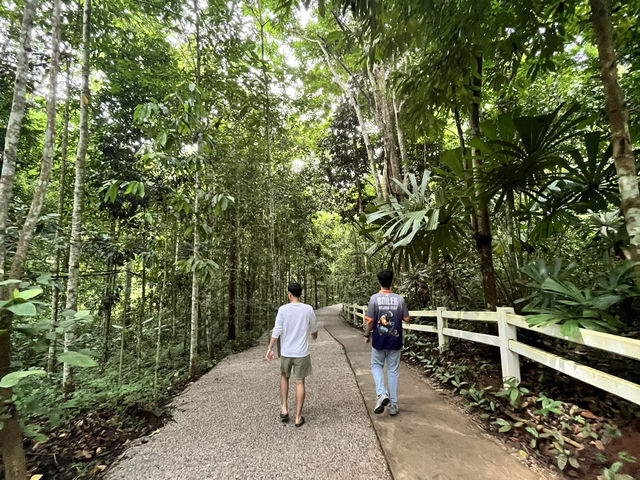 “ป่าต้นน้ำบ้านน้ำราด – พักผ่อนท่ามกลางธรรมชาติ  “ป่าต้นน้ำบ้านน้ำราด – พักผ่อนท่ามกลางธรรมชาติ