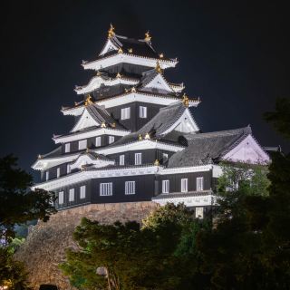 Night Visit to Okayama Castle: Serenity and Glow in the Darkness