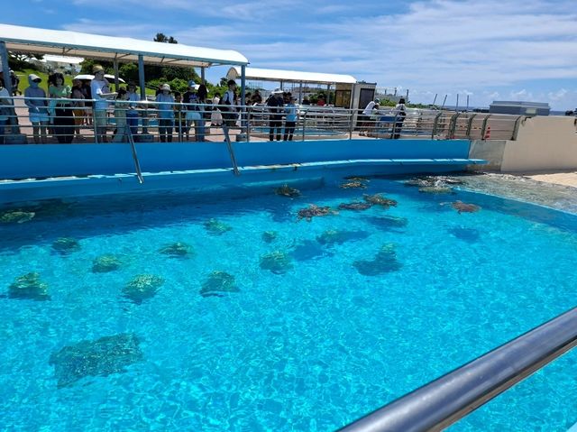 海洋博公園