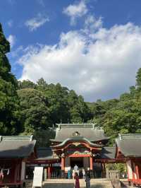 【鹿児島・霧島市】⛩️霧島神宮🏺黒酢ガーデン壺畑〜霧の聖地と黒酢壺の歴史旅〜