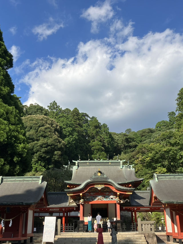 【鹿児島・霧島市】⛩️霧島神宮🏺黒酢ガーデン壺畑〜霧の聖地と黒酢壺の歴史旅〜