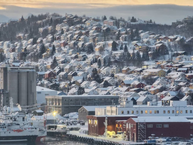 Northern Lights and Arctic Wonders in Tromsø