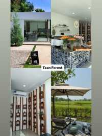 มัดรวมคาเฟ่ในเชียงราย