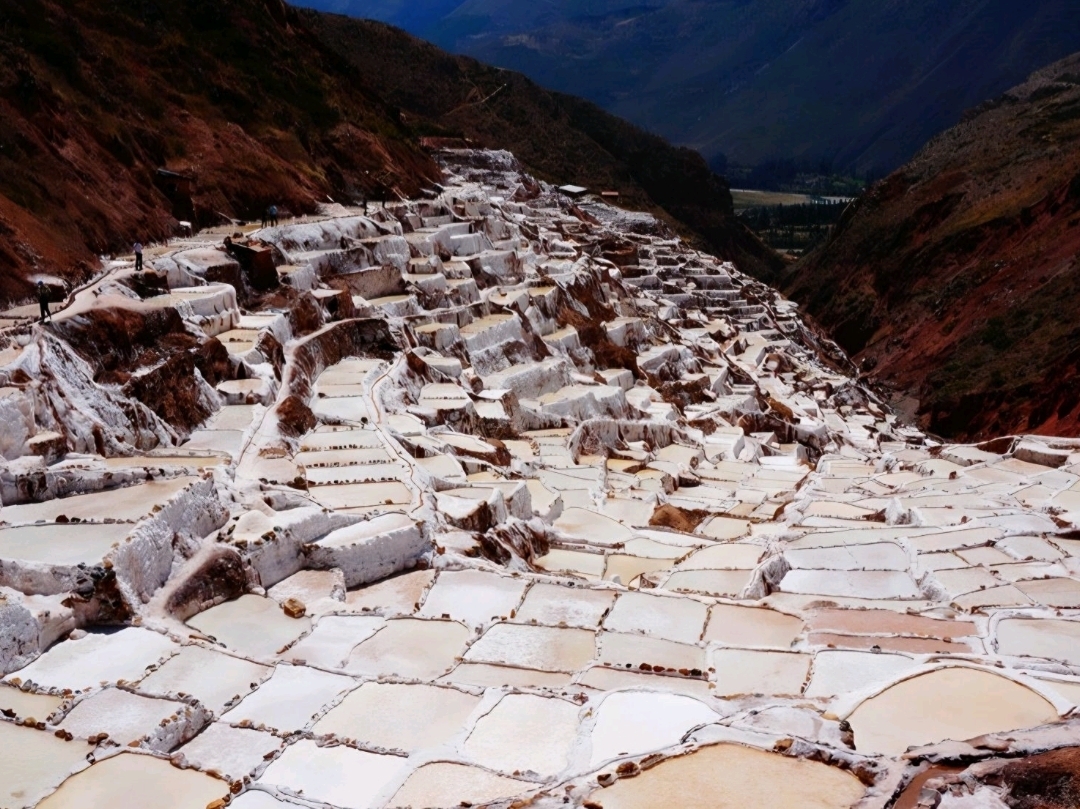 🇵🇪 Tour ngoại ô Cusco Moray, Salineras