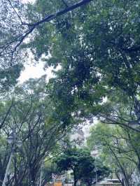 台北|象山公園|城市綠洲的健行與賞景之旅