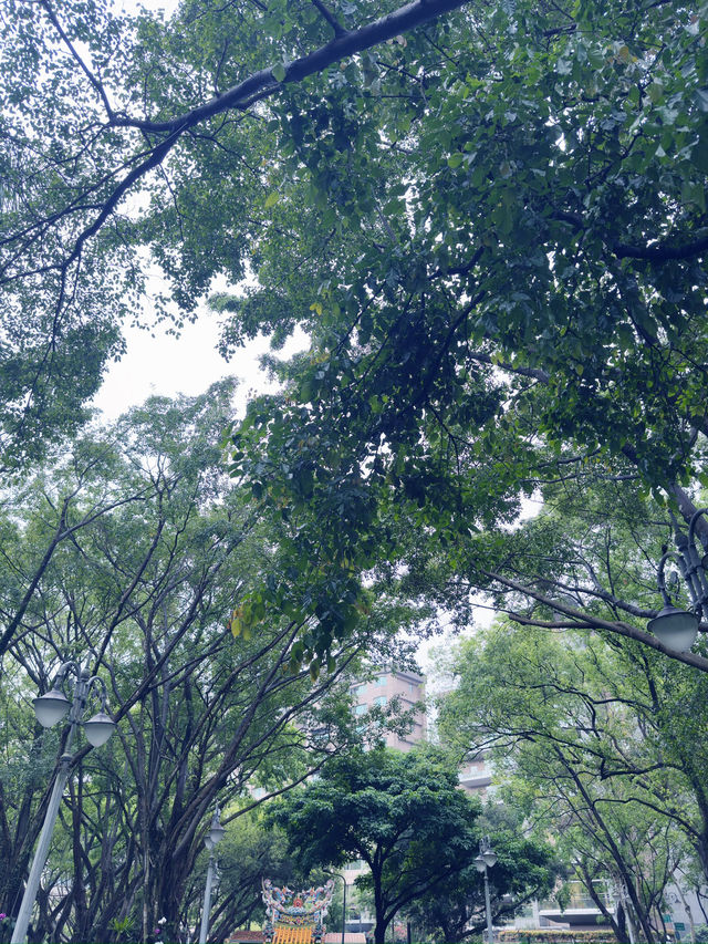 台北|象山公園|城市綠洲的健行與賞景之旅 台北|象山公園|城市綠洲的健行與賞景之旅