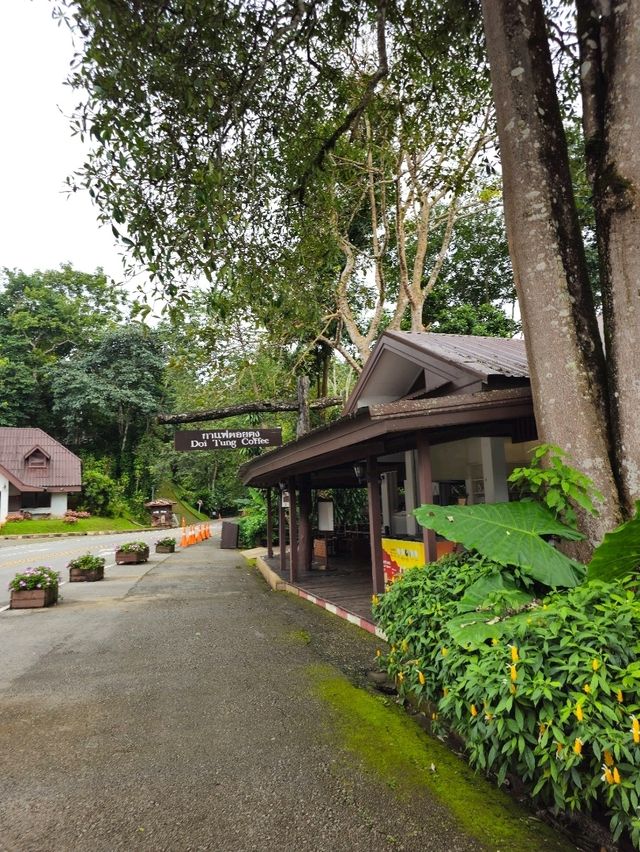 🌼 สวนแม่ฟ้าหลวง มนต์เสน่ห์เมืองหนาว