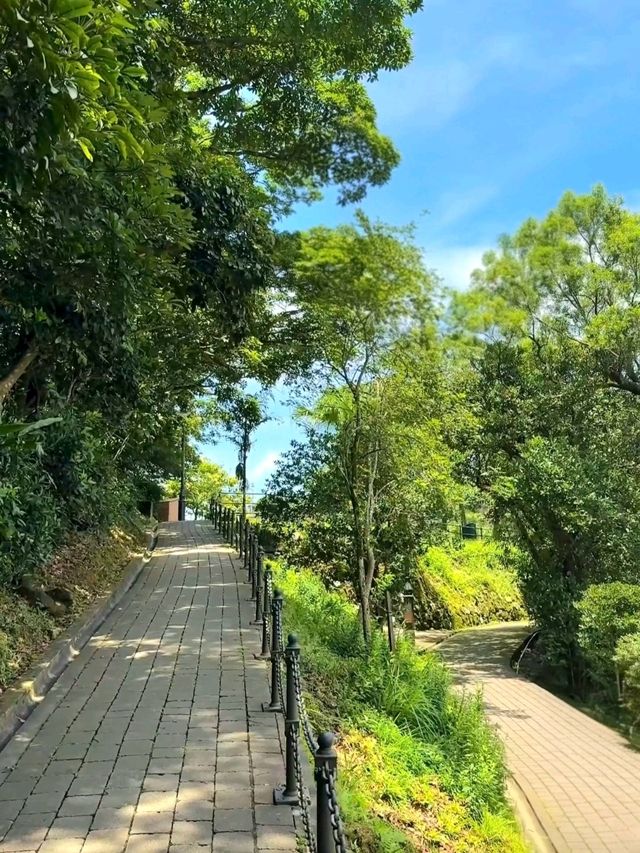 A Peaceful Escape at Victoria Peak Garden A Peaceful Escape at Victoria Peak Garden