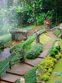 📍 ครัวตำหนัก ดอยตุง จ.เชียงราย 🌿✨