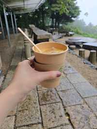 🏛 江之浦測候所（Enoura Observatory）