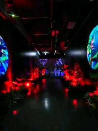 Gyeongju National Museum โ The Heart of Sillaโs Golden Legacy โจ๐บ