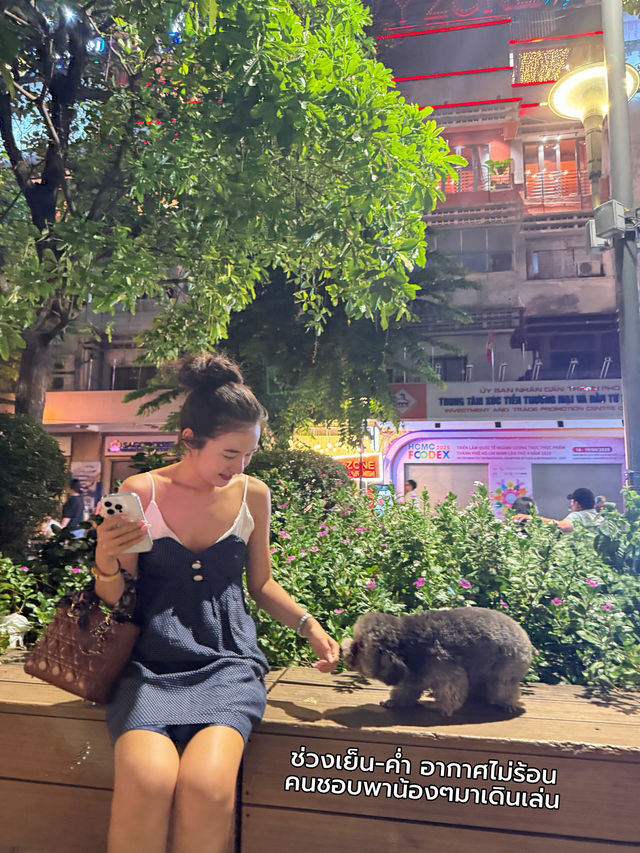 ✨“Ho Chi Minh Square”🇻🇳💘