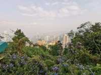 🍃 Peak Trail ที่อยู่บน Victoria Peak (The Peak)