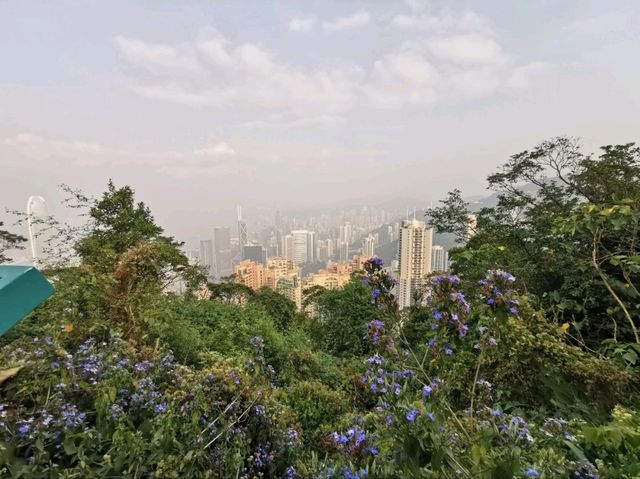 🍃 Peak Trail ที่อยู่บน Victoria Peak (The Peak)